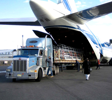 Seguros de Transporte Aéreo 